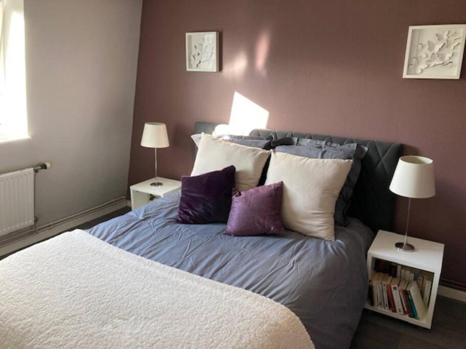 Agreable Et Spacieuse Maison Centre Ville Saint-Omer Extérieur photo